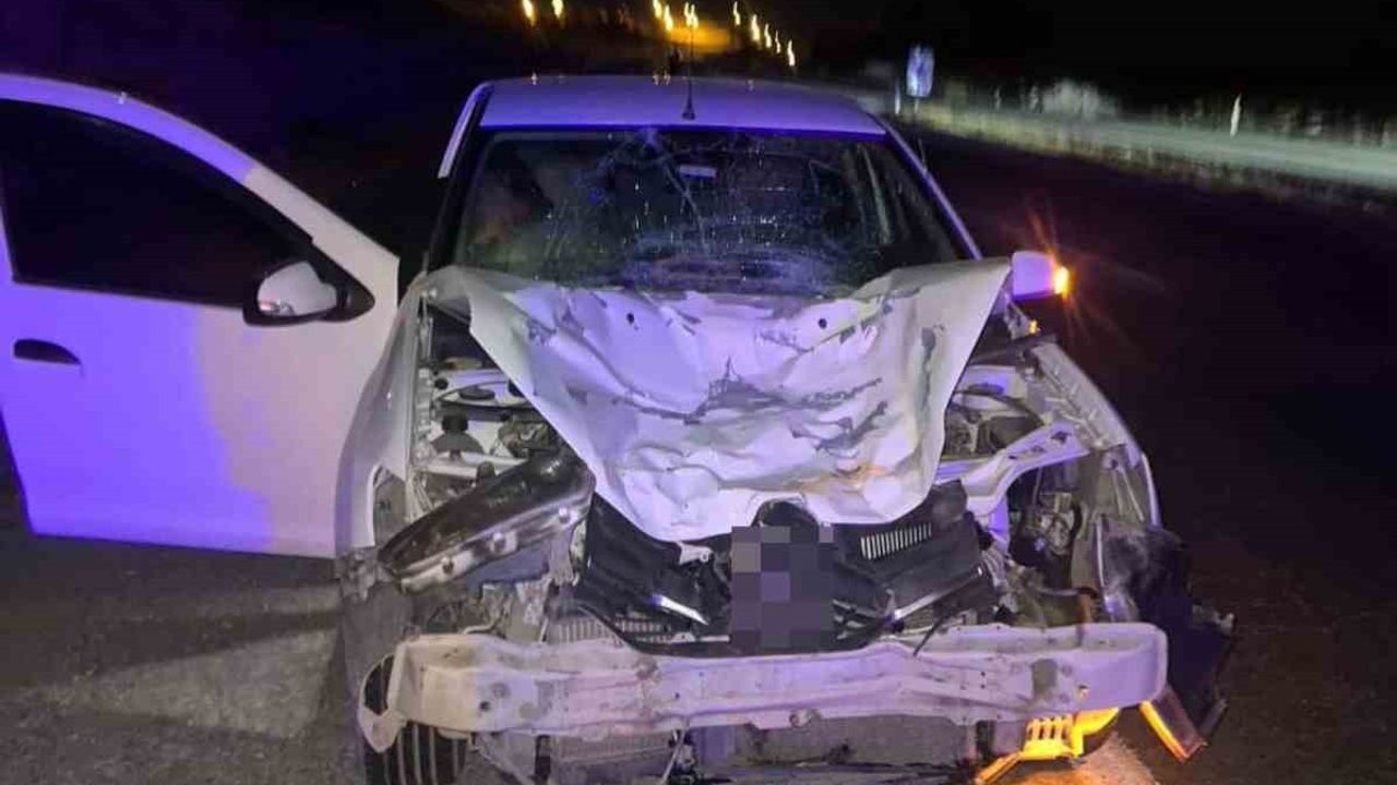 Siirt’te Kurtalan Kaynaklı mevkiinde otomobilin çarptığı at telef oldu