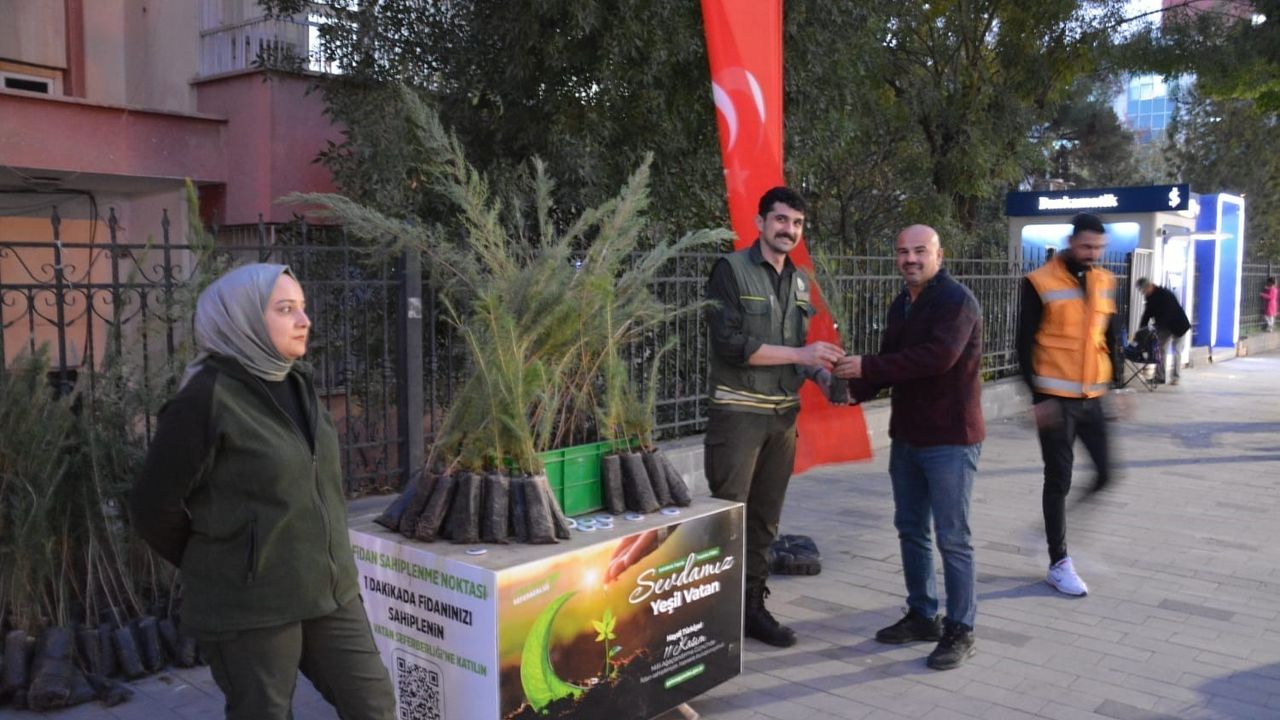 Siirt'te Orman İşletme Müdürlüğü vatandaşları 11 Kasım Milli Ağaçlandırma Günü fidan dikimine davet etti