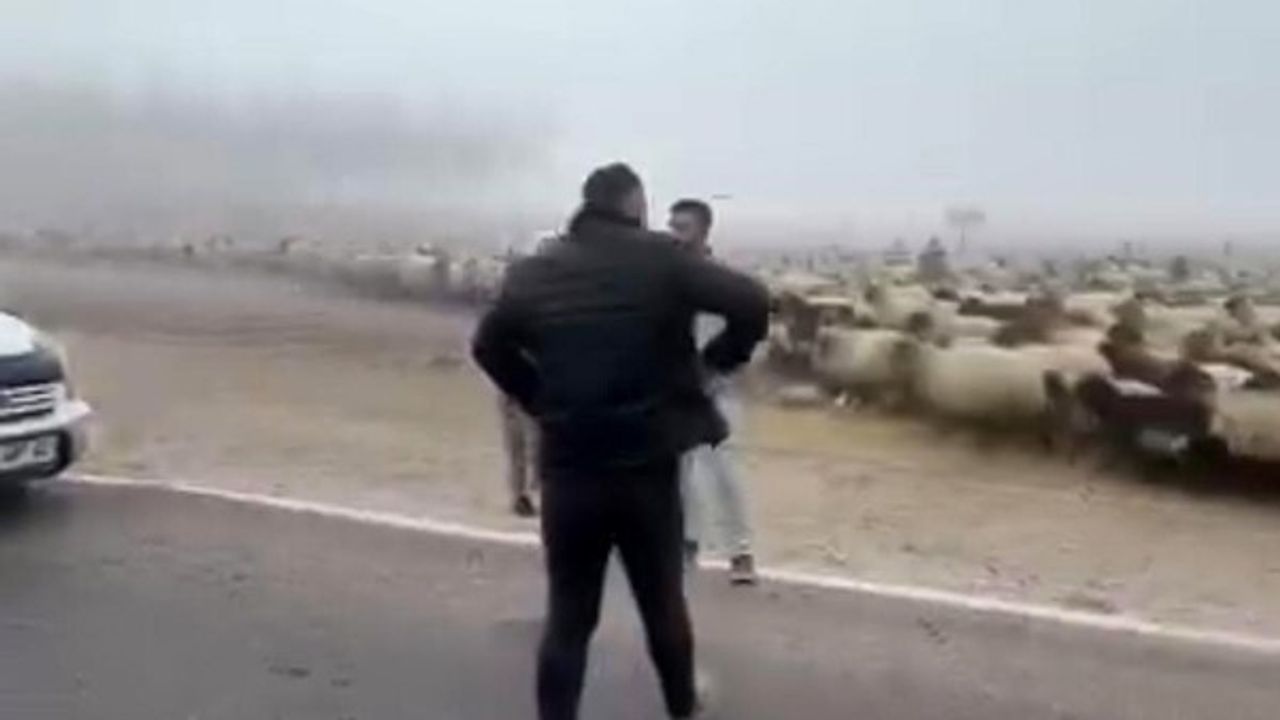 Siirt'te sis nedeniyle kaza: Kurtalan'da 3 koyun telef oldu