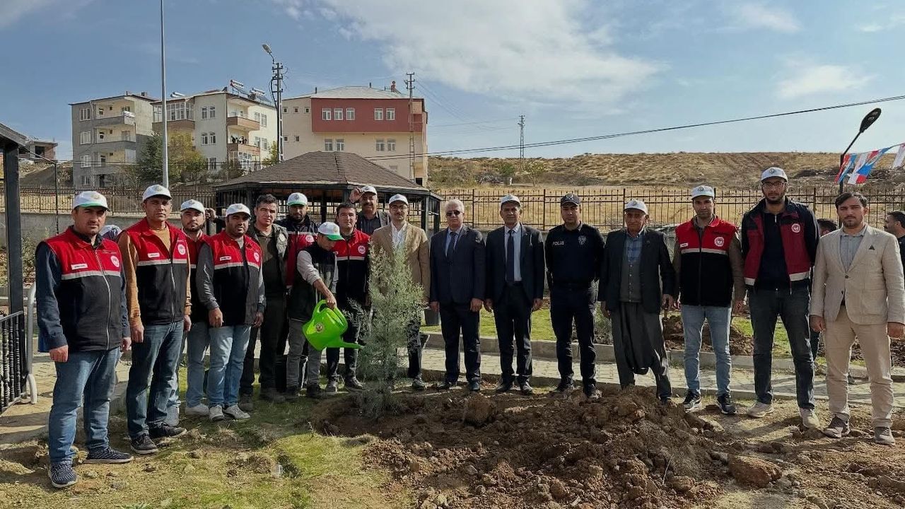 Sincik'te 'Yeşil Vatan Sevdamız' temalı fidan dikim etkinliği: 90 fidan toprakla buluştu