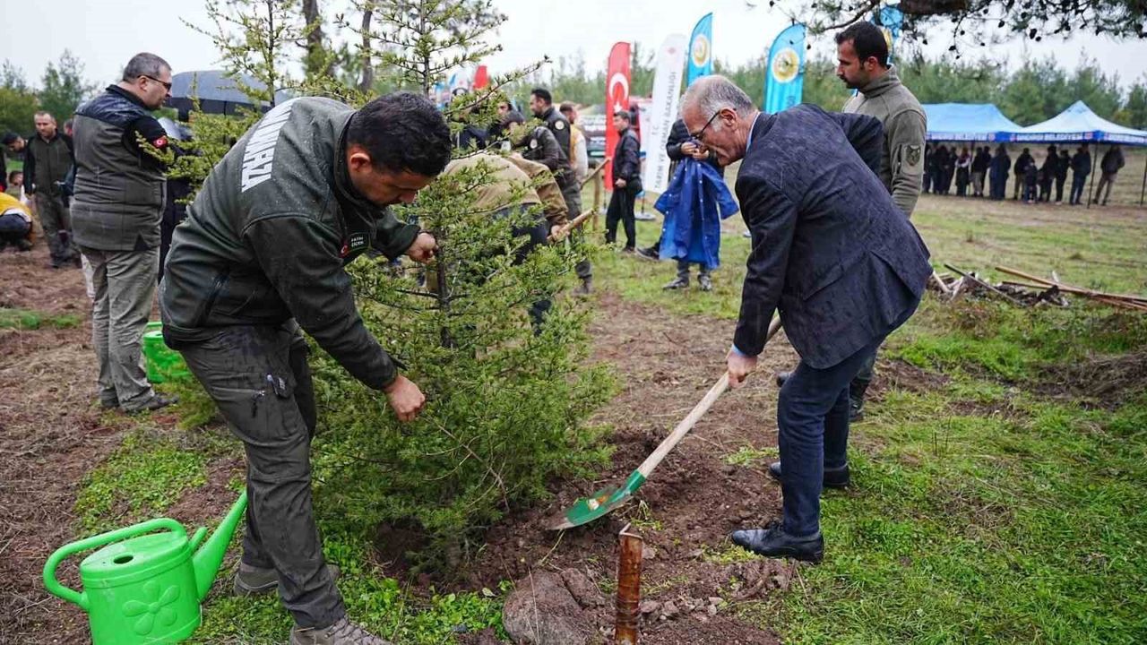 Sındırgı'da 11 Kasım Milli Ağaçlandırma Günü'nde binlerce fidan toprakla buluştu