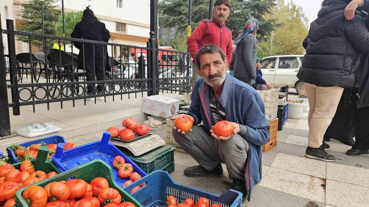 Sındırgı'da Deprem Sonrası Günlük Yaşama Dönüş: Cumhuriyet Meydanı'nda Doğal Ürünler