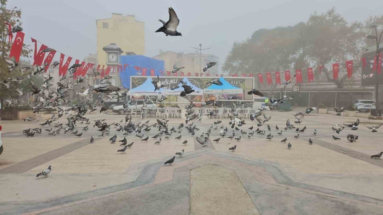 Sındırgı’da Yoğun Sis Görüşü Düşürdü, Ekipler Kontrollü Çalışıyor