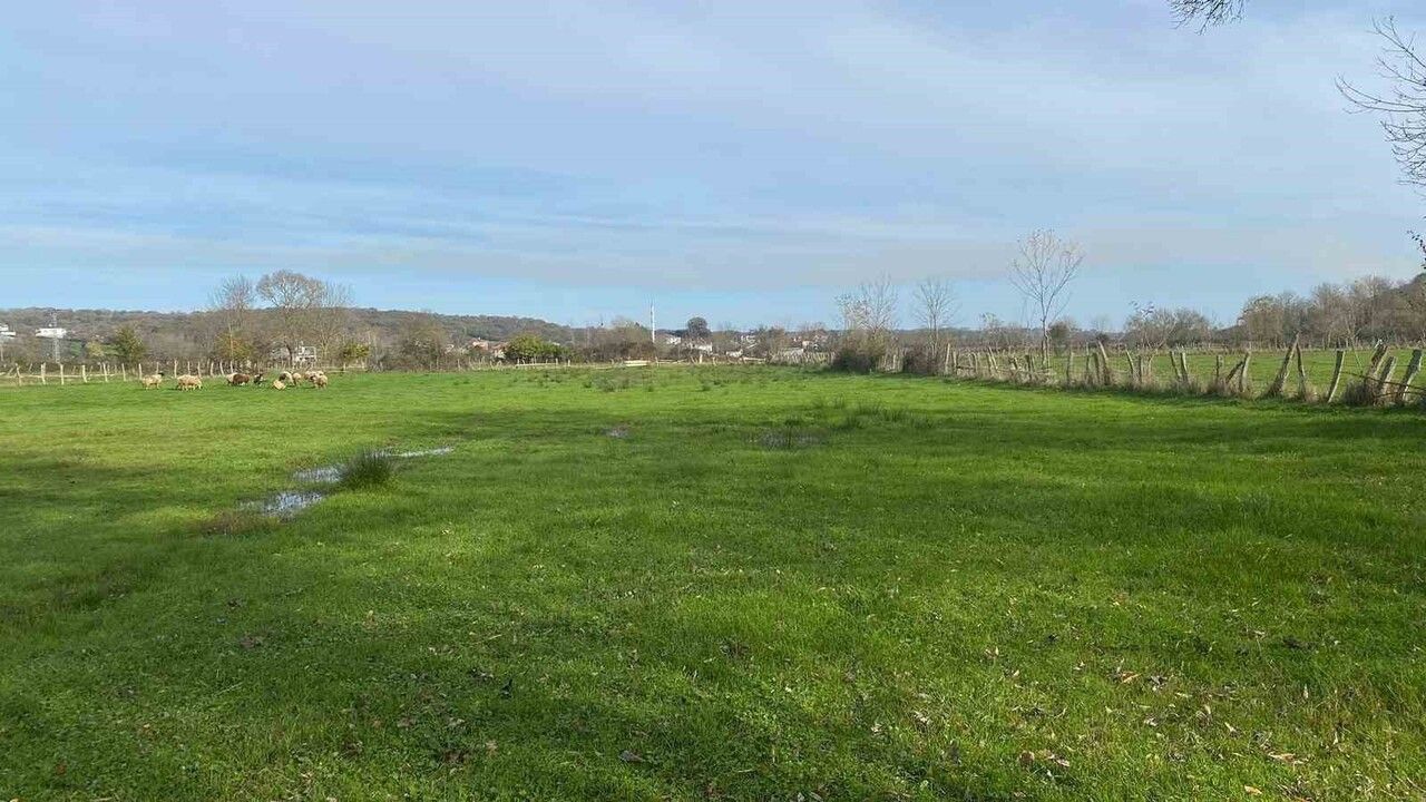 Sinop Abalı (Dikenli Mahallesi) dere taşkınları: Köylüler DSİ'den çözüm bekliyor