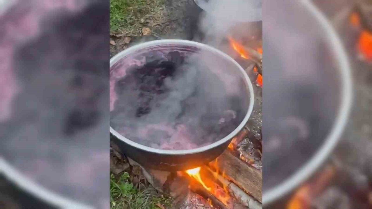 Sinop köylerinde kış hazırlığı: Erfelek'te geleneksel pekmez üretimi