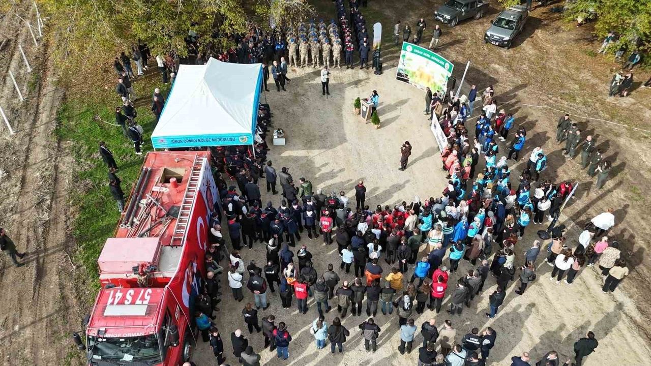 Sinop’ta 11 Kasım Milli Ağaçlandırma Günü'nde 3 bin 860 fidan toprakla buluştu