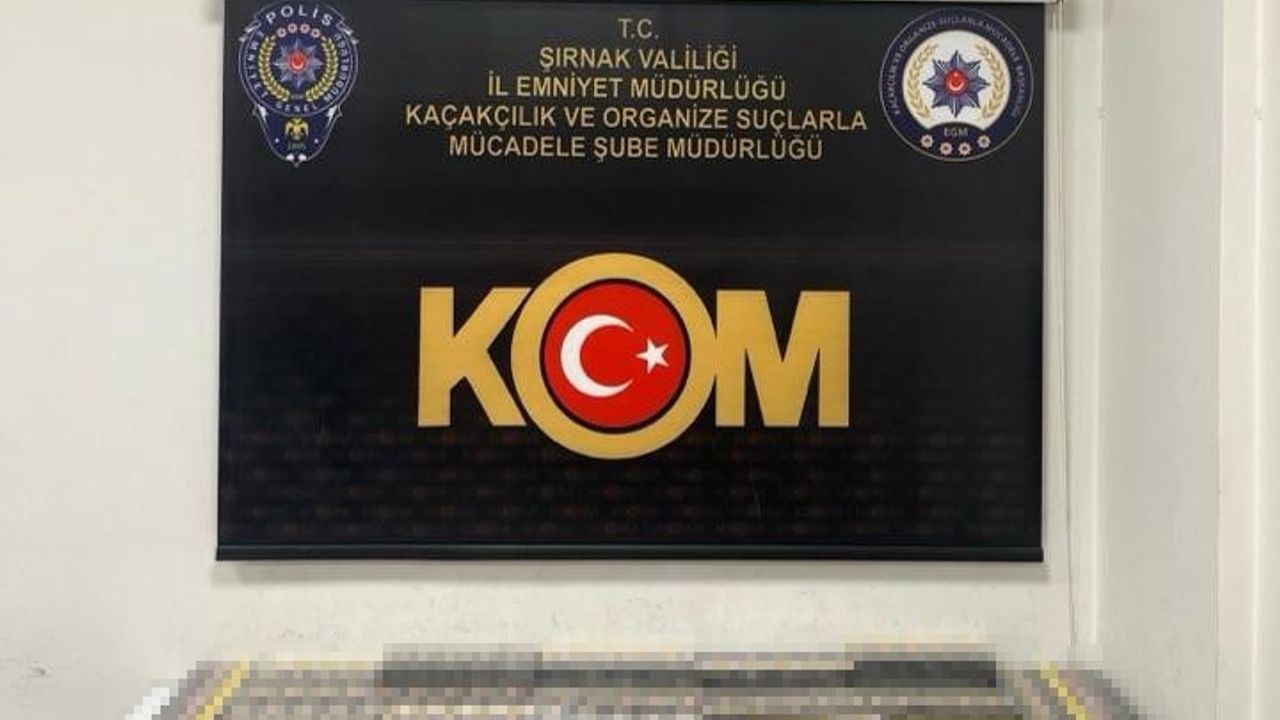 Şırnak'ta 3-9 Kasım operasyonunda 4 milyon TL değerinde kaçak ürün ve uyuşturucu ele geçirildi
