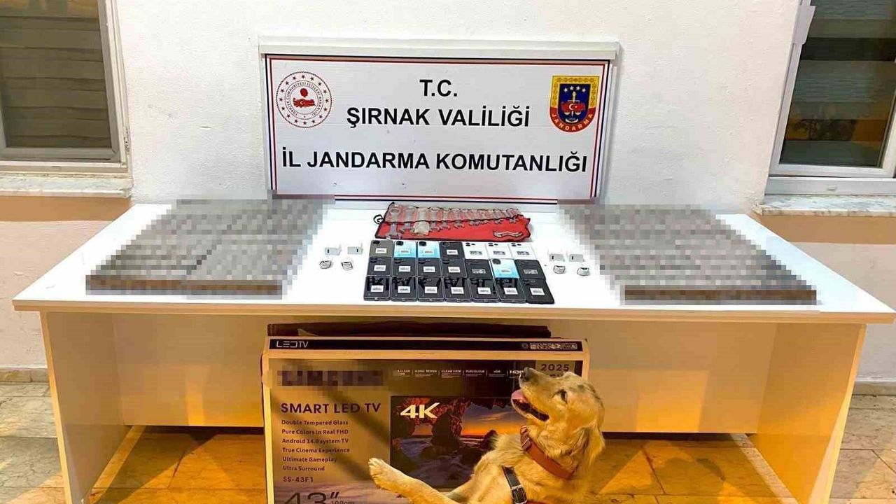 Şırnak'ta Jandarma: 3-9 Kasım'da Kaçakçılık ve Uyuşturucu Operasyonlarında 91 Şüpheliye İşlem