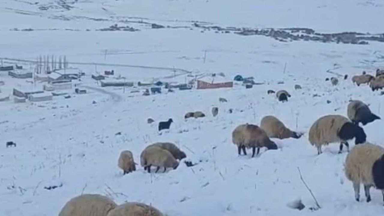 Şırnak'ta yüksek kesimlerde kar kalınlığı 20 santimetreyi aştı, köy yolları kapandı