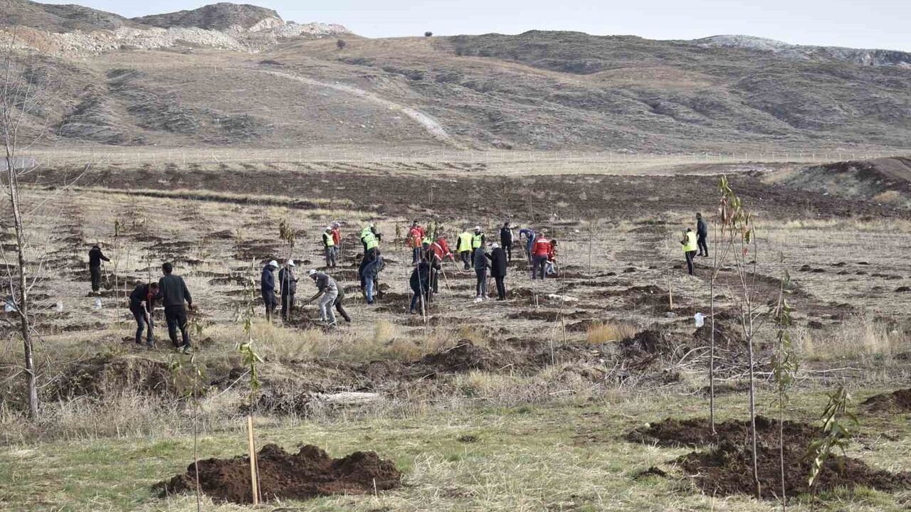 Sivas OSB'de Yeşil Dönüşüm: Yeşil Alanlara ve Meyve Bahçesine Binlerce Fidan Dikildi