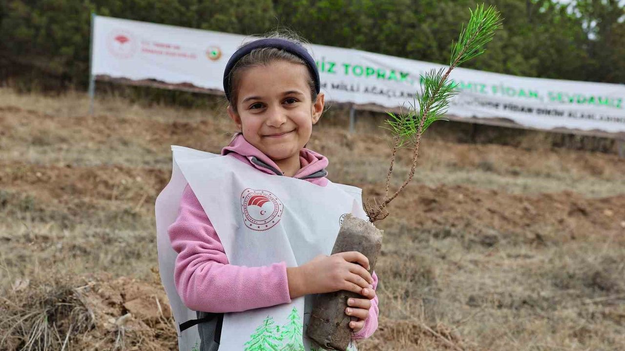 Sivas’ta 11 Kasım Millî Ağaçlandırma Günü’nde 21 lokasyonda 90 bin fidan dikildi
