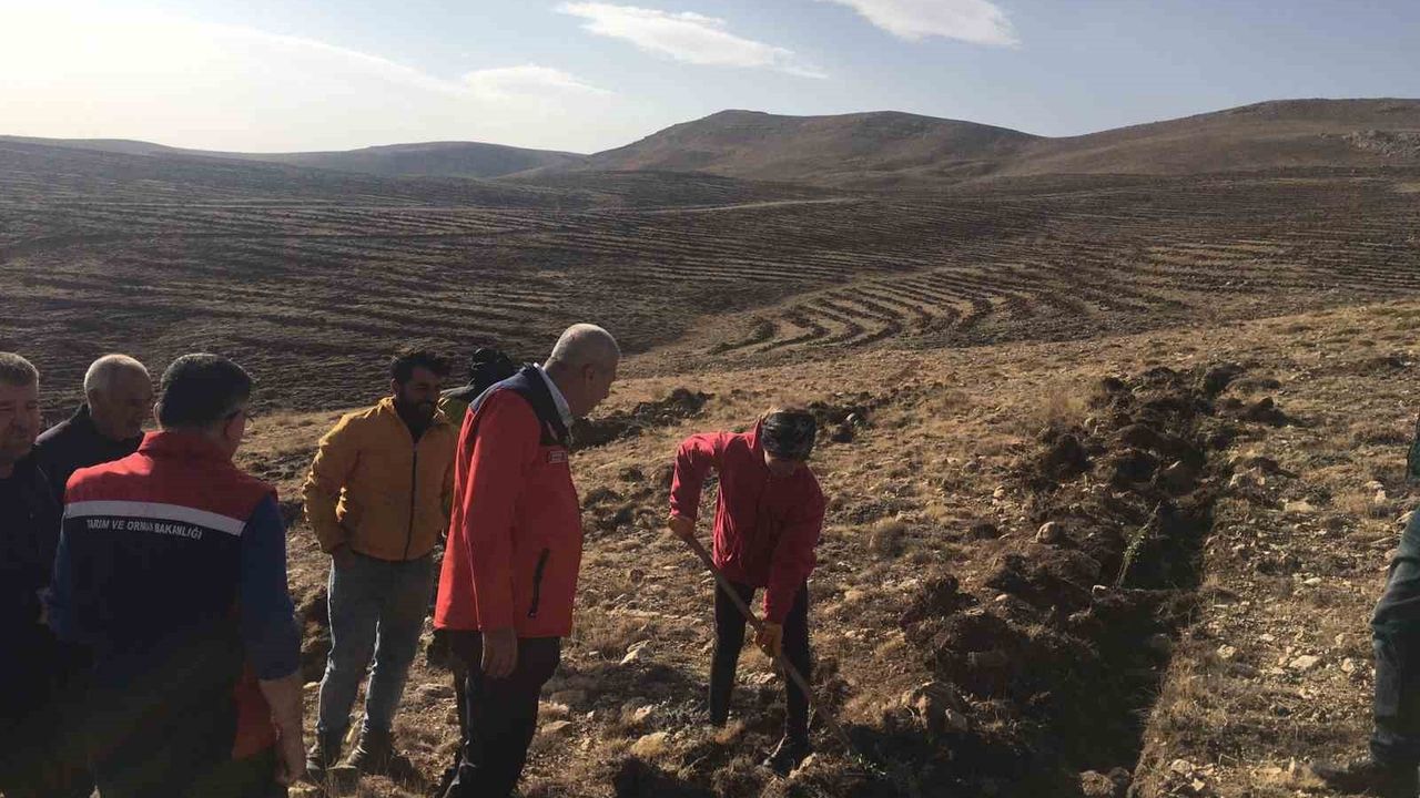 Sivas’ta 3 bin 200 dekarlık mera 355 bin Amerikan tuz çalısıyla ıslah edilecek