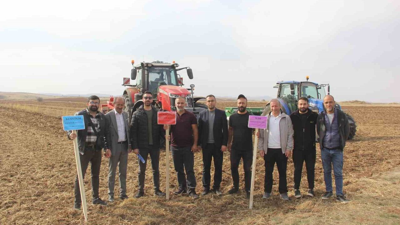 Sivas'ta kamu-üniversite işbirliğiyle 5 ekmeklik buğday çeşidinin pilot ekimi başladı