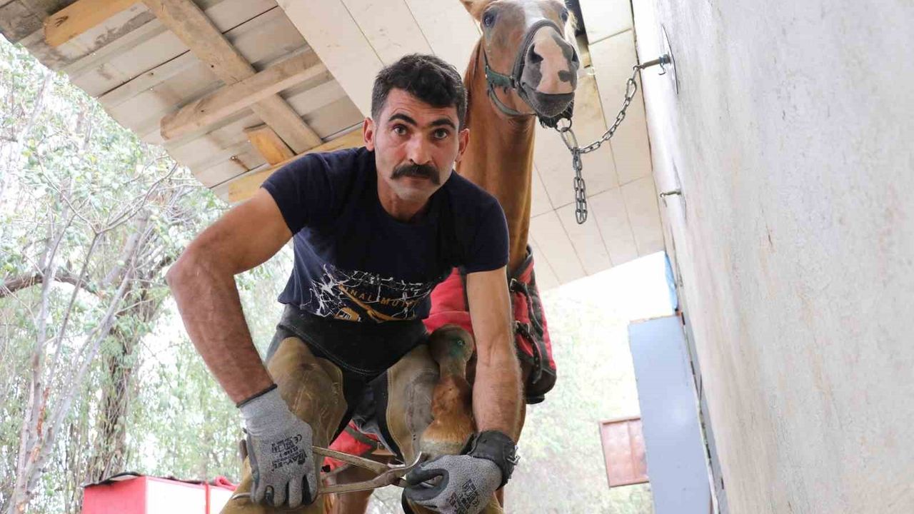 Sivas'ta nalbantlık ayakta kalıyor: Usta Yusuf Çemek beş yıldır mesleği sürdürüyor