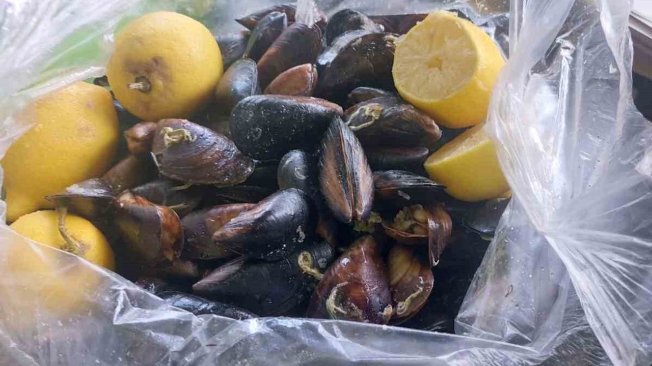 Söke'de Alo 174 İhbarı Üzerine Gıda Denetimi: Numuneler Laboratuvara Gönderildi