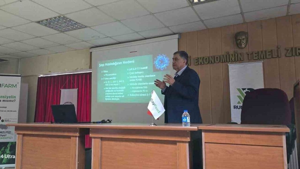 Söke'de Şap Hastalığı Bilgilendirme Toplantısı: Üreticilere Korunma ve Mücadele Eğitimi