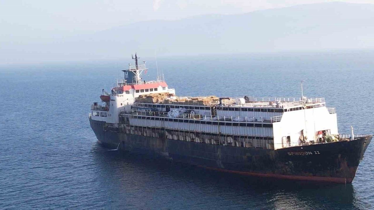 Spiridon II Bandırma açıklarından 24 gün sonra Uruguay'a döndü; uzmanlar acil tehdit uyarısı