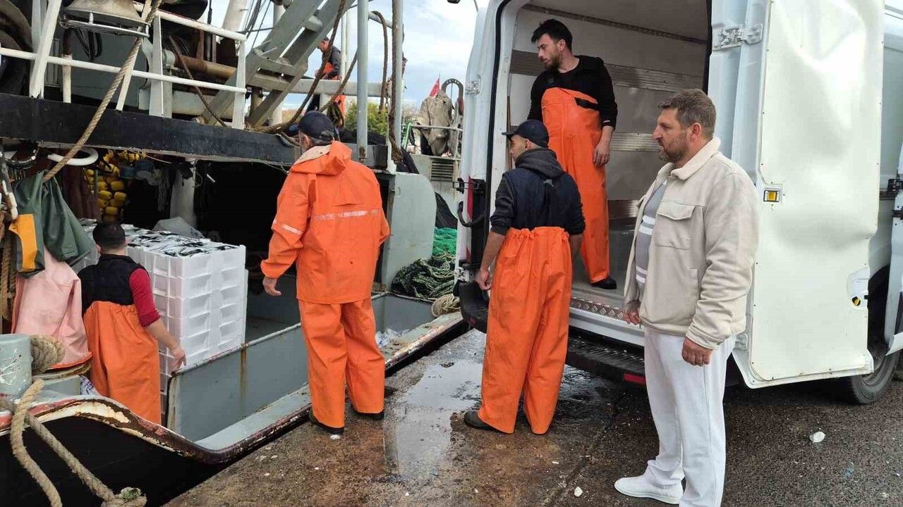 Süleymanpaşa'da lodos sonrası balık bolluğu: Balıkçılar yaklaşık 600 kasa ile limanda