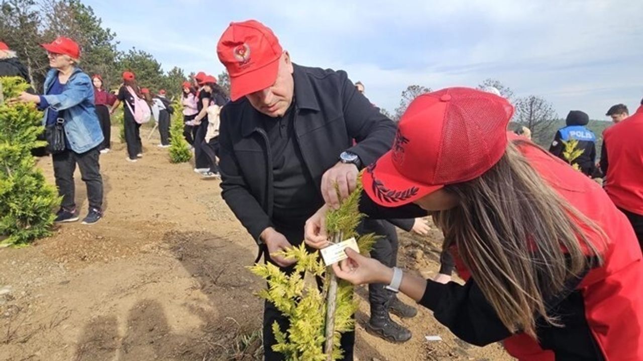 Sultangazi'de Şehir Ormanı yeniden yeşertildi: Şehitler anısına yüzlerce fide dikildi