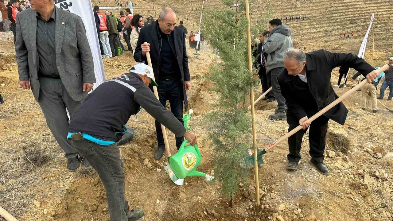 Talas Belediyesi Ali Dağı zirvesine 1111 fidan dikti