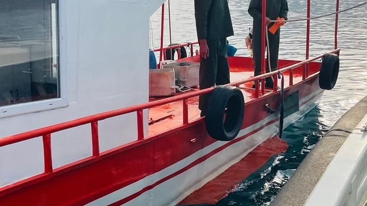 Tatvan'da Van Gölü balıkçılık denetimleri: ağ, ruhsat ve boy limitleri incelendi