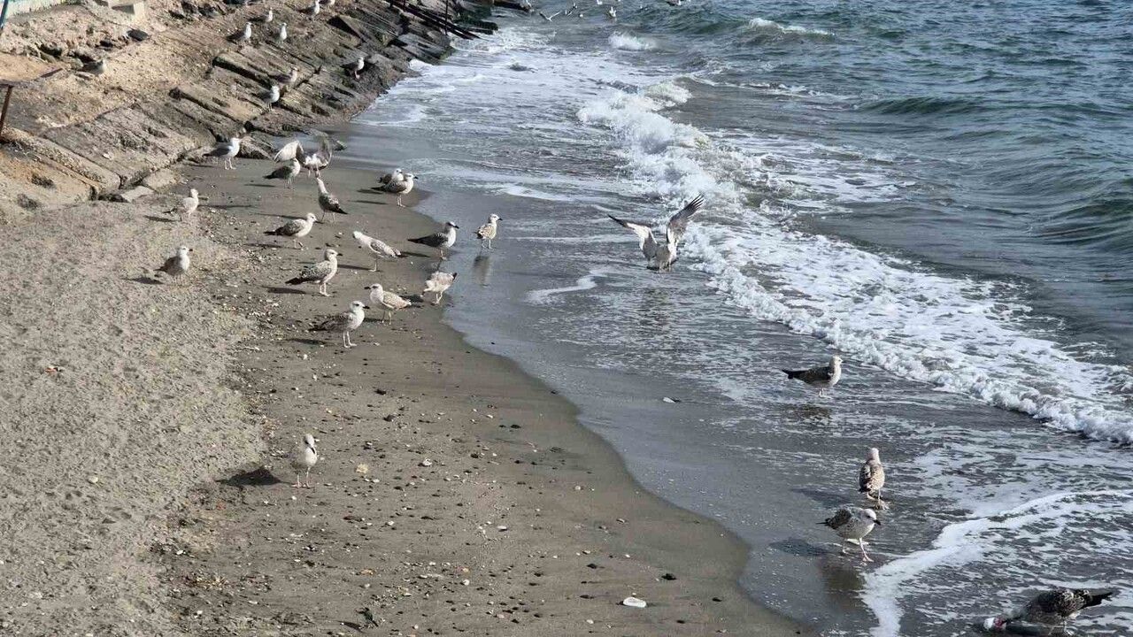 Tekirdağ'da lodos fırtınası balıkçıları Süleymanpaşa limanına döndürdü
