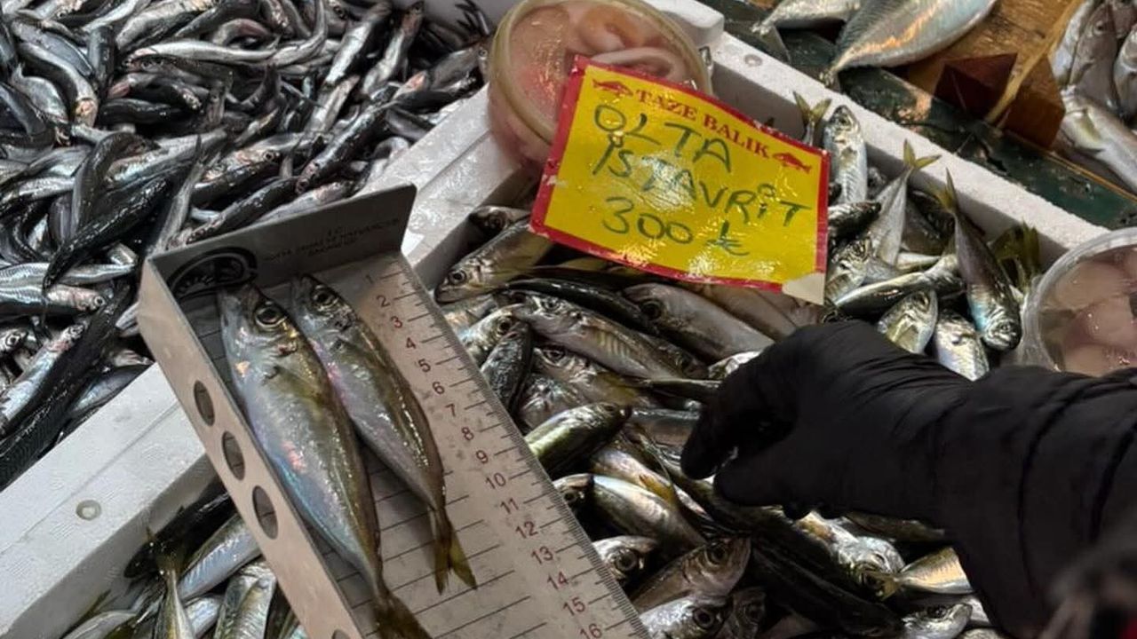 Tekirdağ’da perakende balık satış noktalarına sıkı denetim: Boy ölçümleriyle sürdürülebilir avcılığa destek