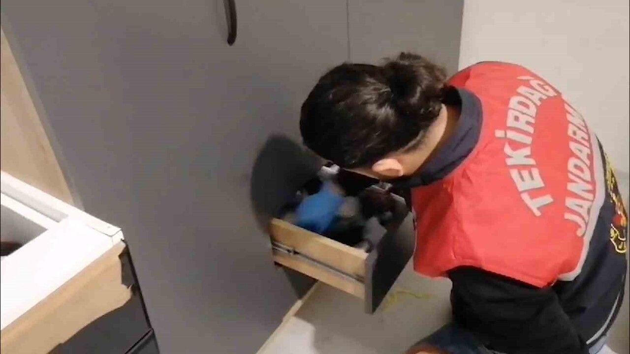 Tekirdağ Jandarması'nın Eş Zamanlı Operasyonunda 14 Şüpheli Gözaltına Alındı