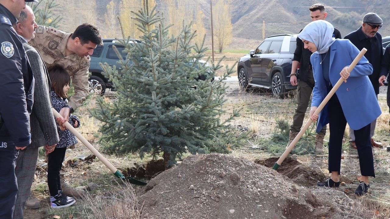 Tercan'da 11 Kasım Milli Ağaçlandırma Günü'nde fidan dikimi gerçekleştirildi