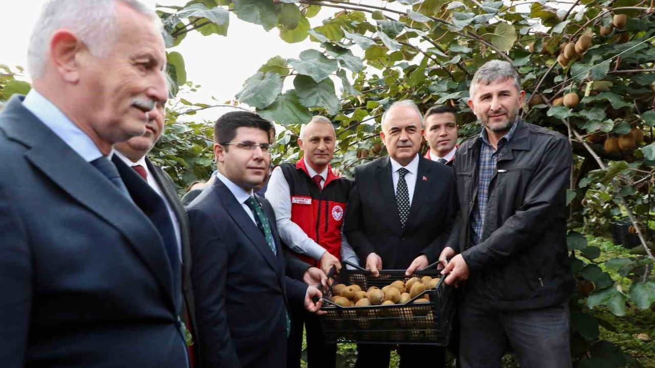 Tescilli Ordu Kivisi Hasadı Başladı: İlin Ekonomisine Yaklaşık 520 Milyon TL Katkı Bekleniyor