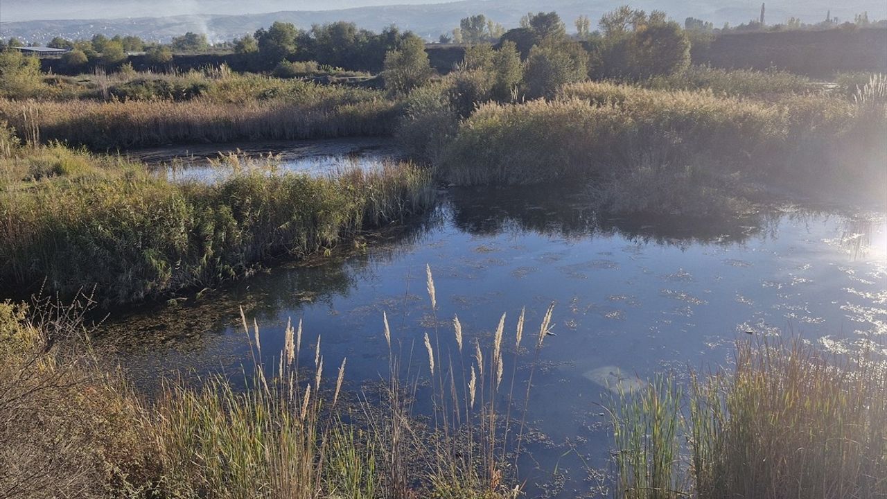 Tokat Erbaa'da gölete devrilen otomobilin sürücüsü yaralandı