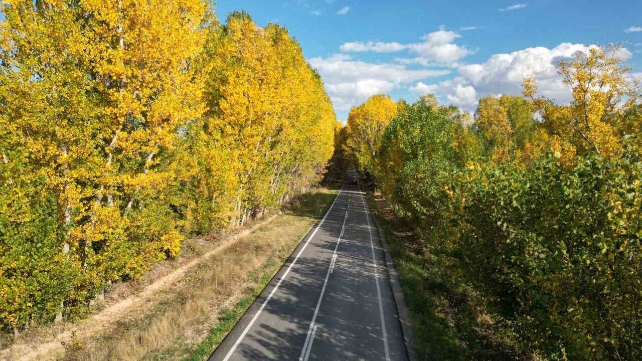 Tokat'ta parklar sonbahar yapraklarıyla renkleniyor