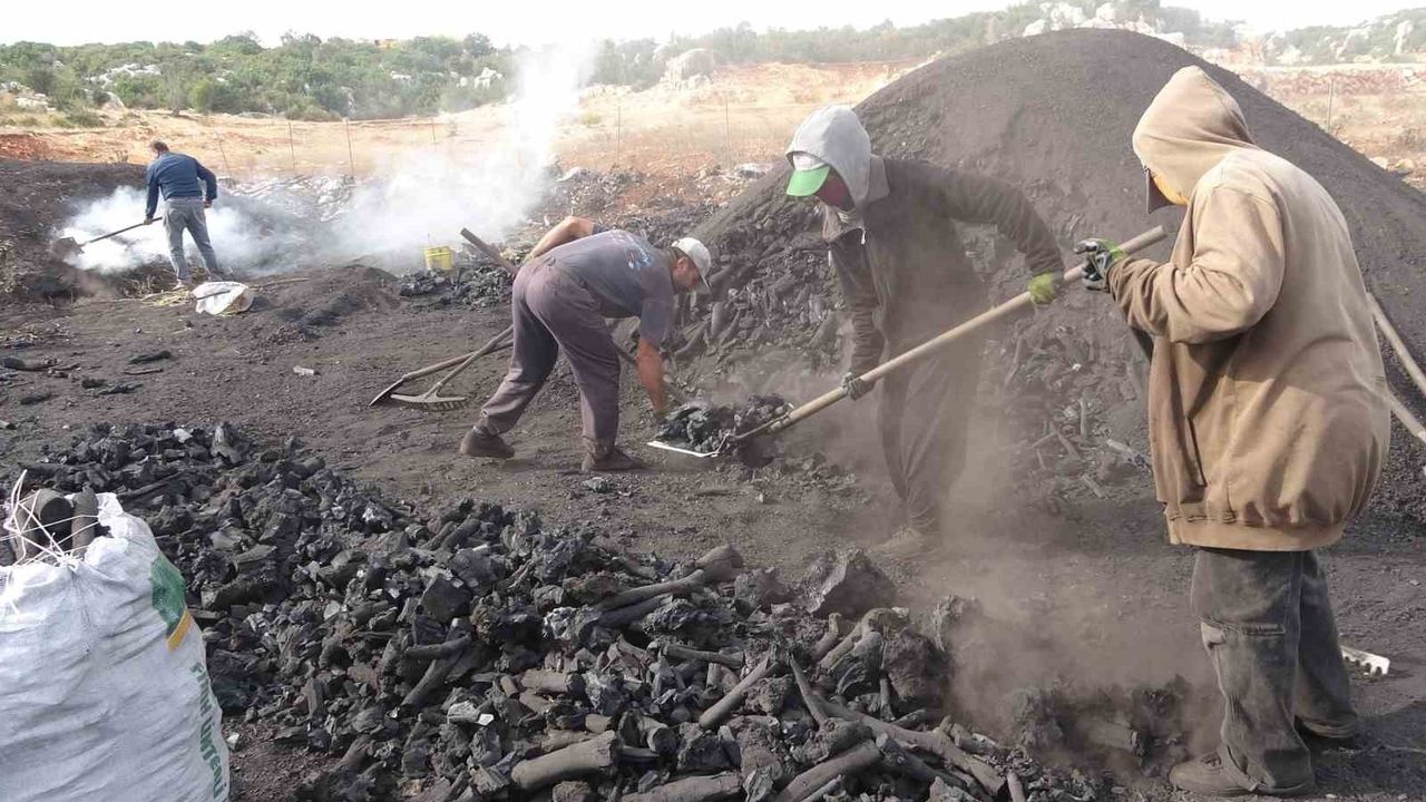 Toros eteklerinde meşe kömürü üretimi: Silifke’de ailelerin zorlu mesaisi
