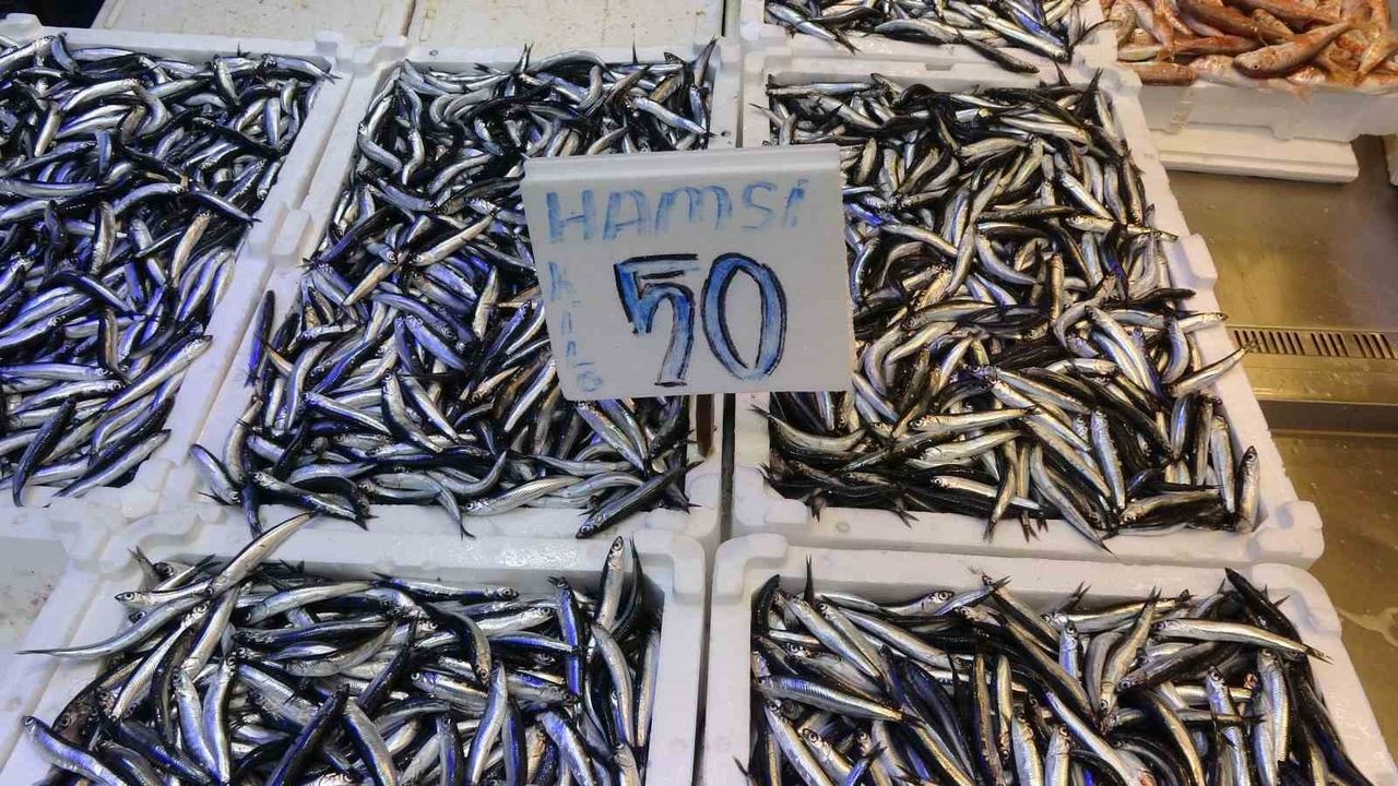 Trabzon'da hamsi bolluğu: Fiyatlar düştü, vatandaş tuzlama yapıyor
