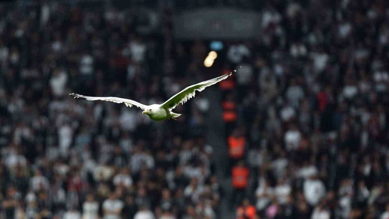 Trendyol Süper Lig: Beşiktaş 0-0 Samsunspor (İlk Yarı)