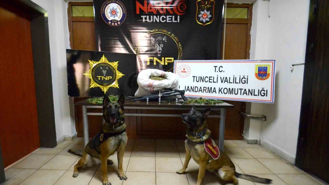 Tunceli merkezli üç ilde uyuşturucu operasyonunda 23 kilo esrar ele geçirildi