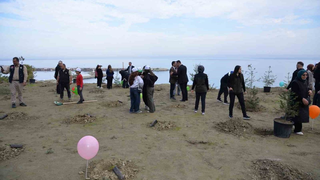 Türkeli’de 11 Kasım Milli Ağaçlandırma Günü’nde yüzlerce fidan toprakla buluştu