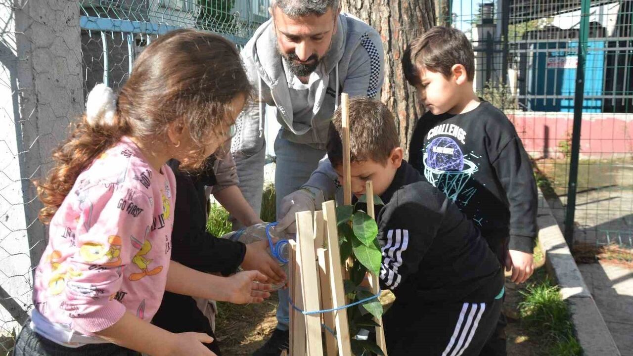 Ünye'de anasınıfı öğrencileri 'Yeşil Vatan' projesi kapsamında 16 meyve fidanı dikti