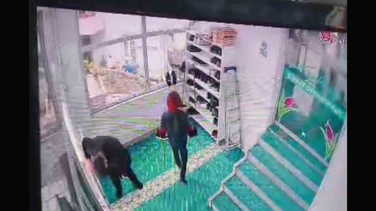 Ünye'de Cuma Namazı İçin Camiiye Gelen Nuri Aksöyek Kalp Krizi Geçirdi; Anlar Güvenlik Kamerasında