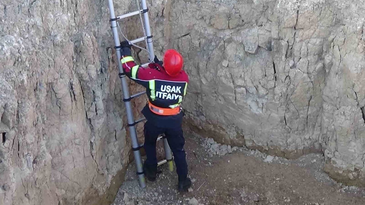 Uşak'ta 4 metrelik çukura düşen keçi itfaiye tarafından kurtarıldı