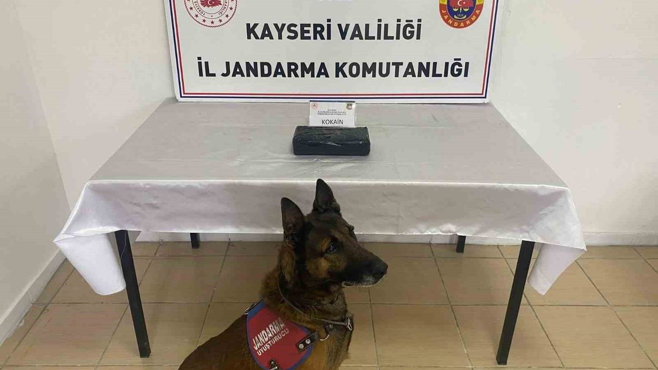 Vali Gökmen Çiçek'ten jandarmaya tebrik: 1 kilo 200 gram uyuşturucu ele geçirildi, 3 şahıs yakalandı