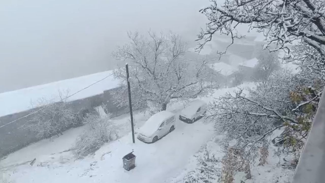 Van'da Bahçesaray ve Karabet Geçidi'nde Kar Yağışı Etkili Oldu