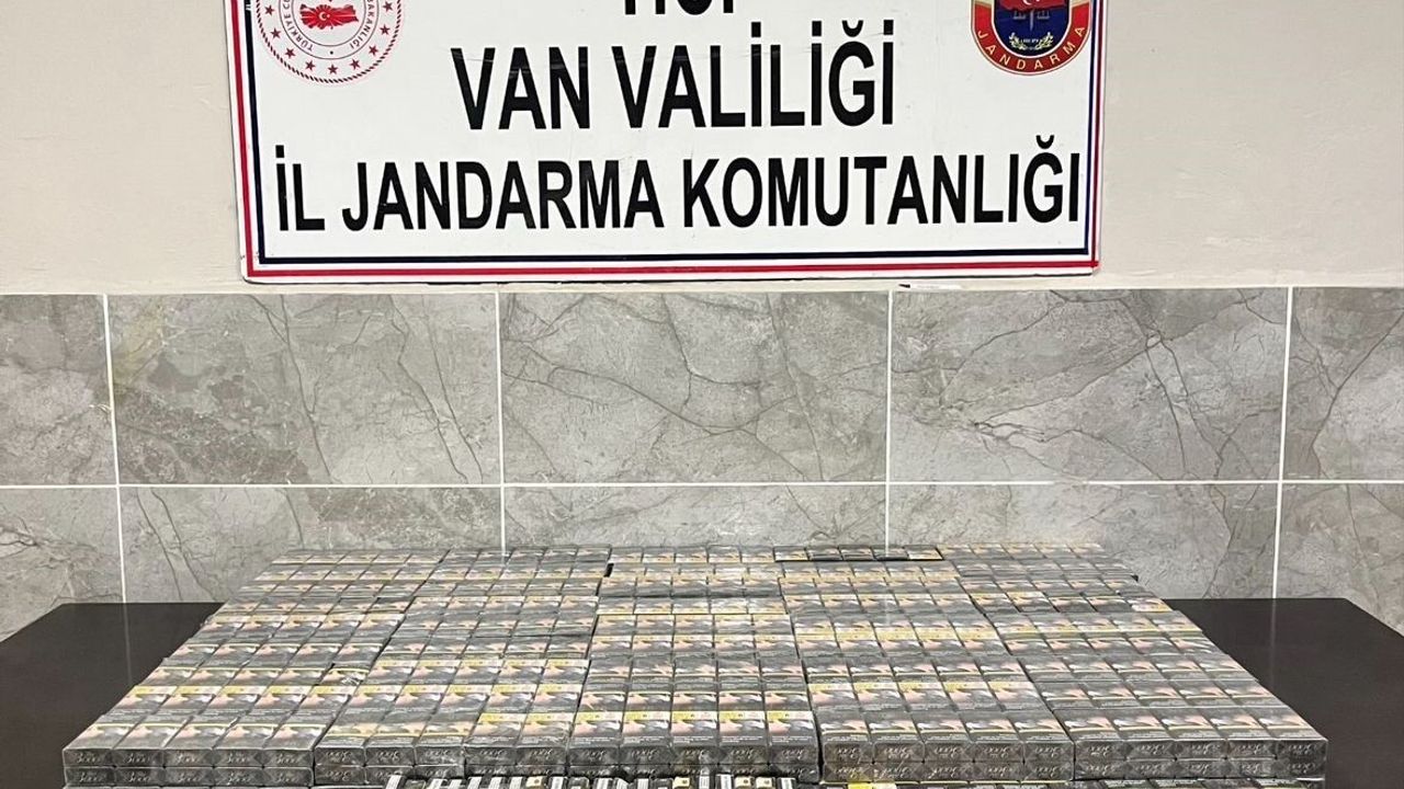 Van’da jandarma operasyonunda 3 bin 75 paket gümrüksüz sigara ele geçirildi