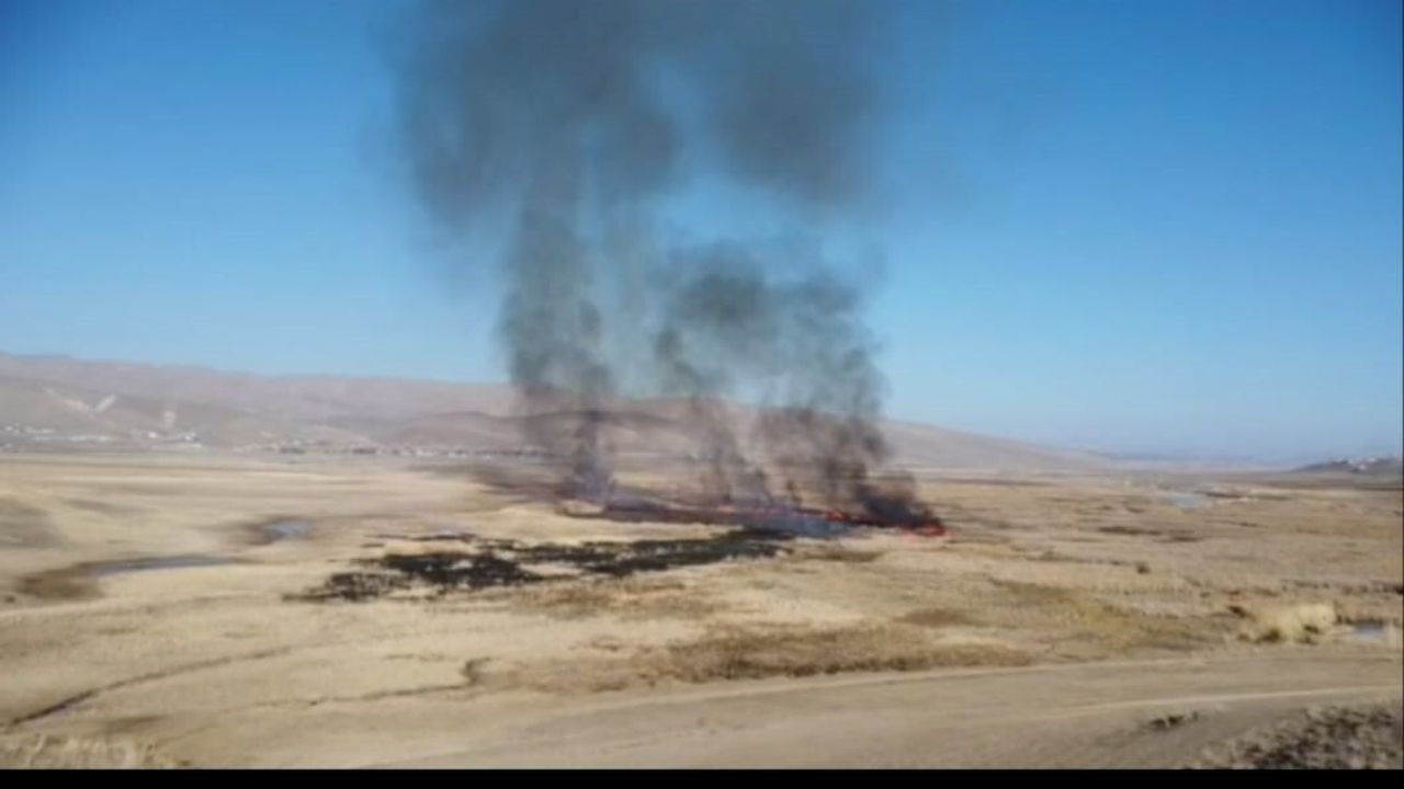 Van Özalp'te Çırak Sazlığında Yangın: 300 Dönümlük Sulak Alanda İtfaiye Müdahalesi