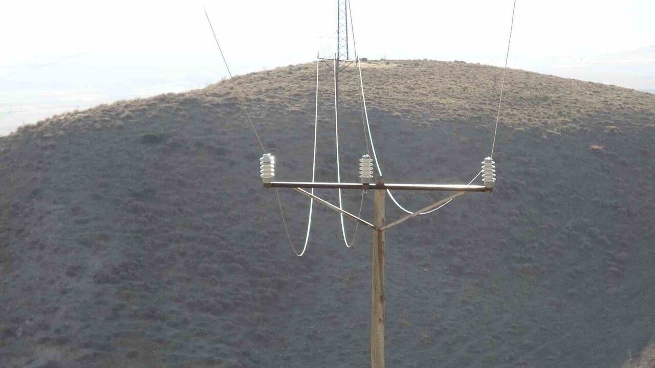 Van Tuşba'da VEDAŞ direğinin devrilmesi yaban hayvanlarının ölümüne neden oldu