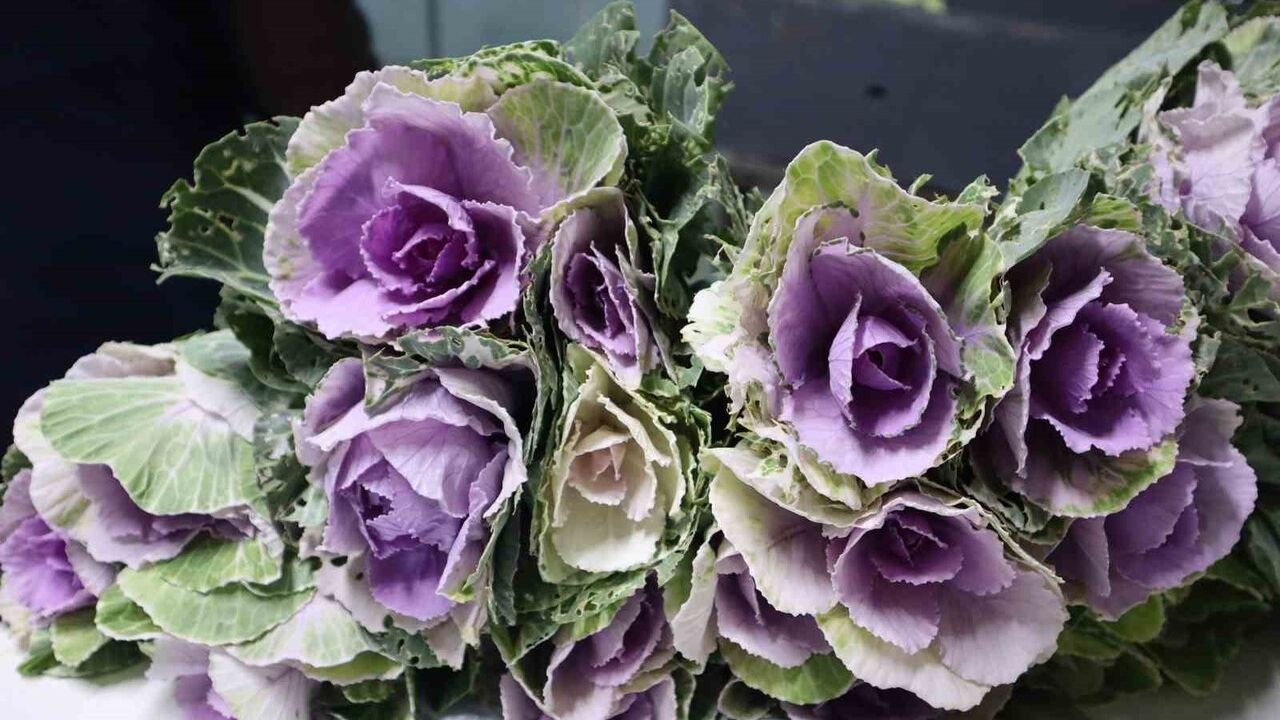 Yalova çiçek mezatlarında Öğretmenler Günü haftasında satış artışı