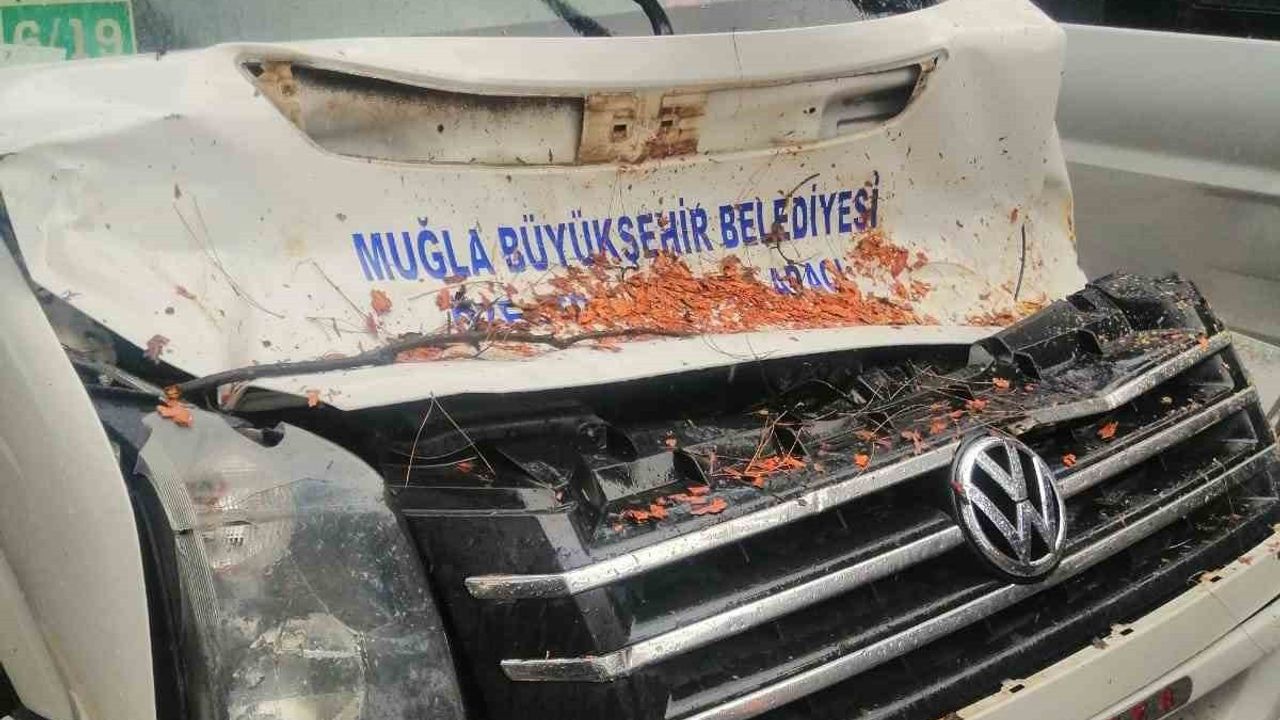 Yatağan'da seyir halindeki minibüsün üzerine çam ağacı devrildi