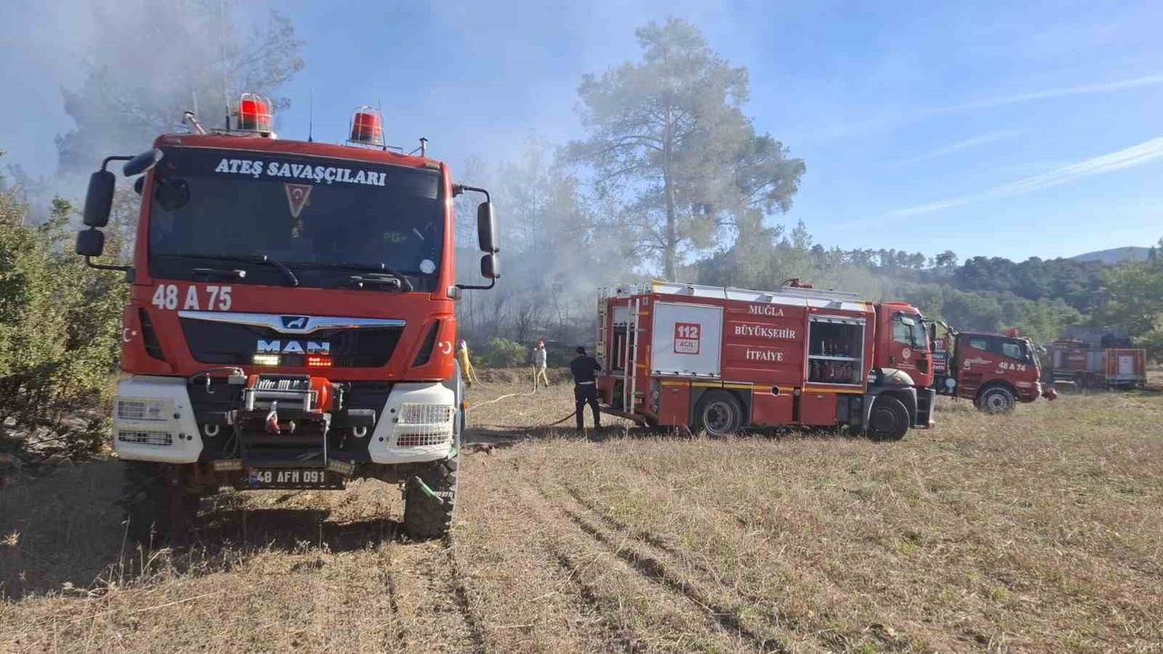Yatağan'da Yenikarakuyu'da iki arazi yangını ekiplerin hızlı müdahalesiyle kontrol altına alındı