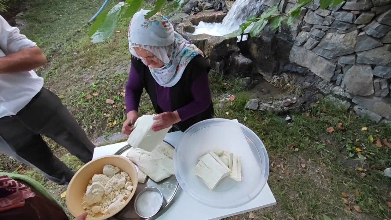 Yayladan sofraya doğal antibiyotik: Erzurum’un göğermiş peyniri