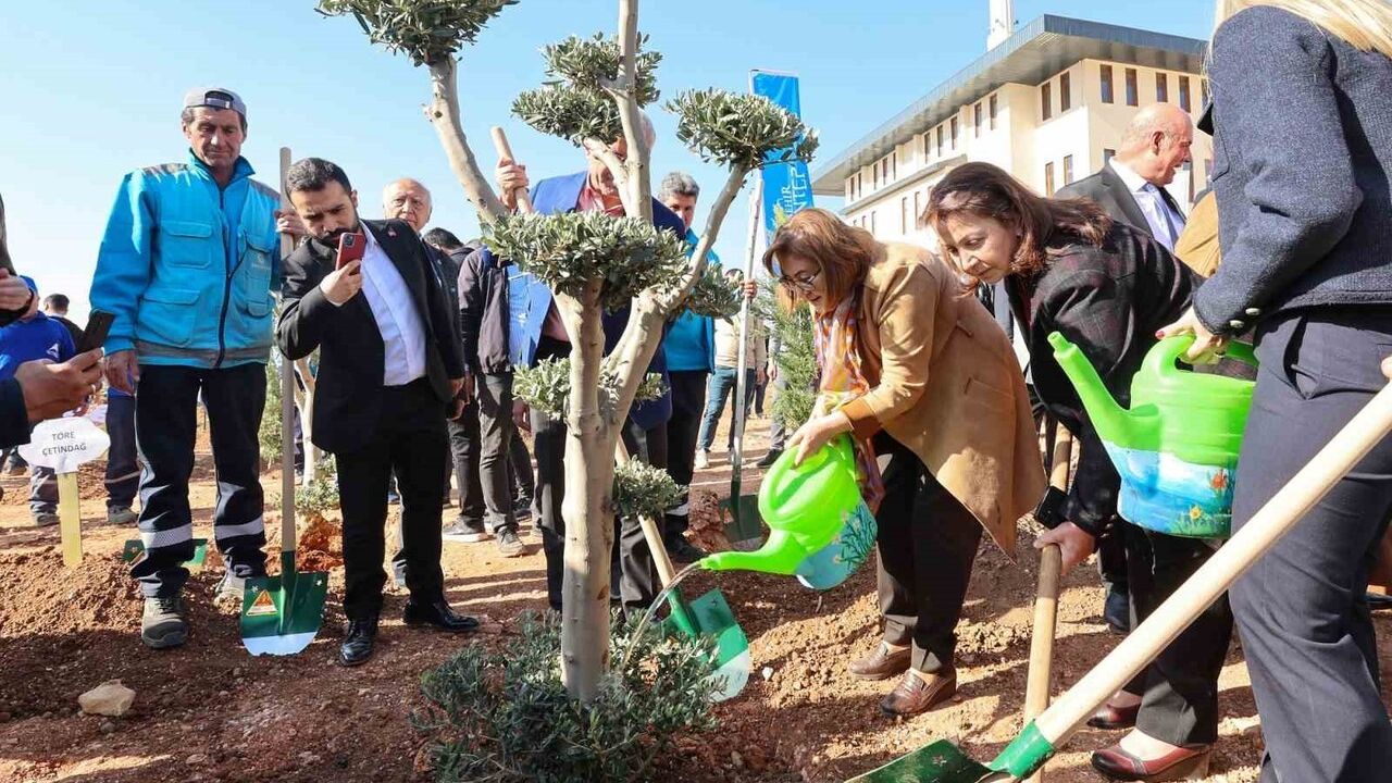 YEŞİLANTEP 41. Etap: Belkıs Mahallesi'ne 9 bin m² alana 300 fidan dikildi